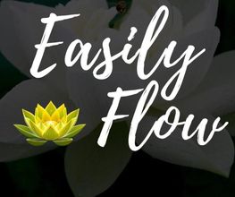 EASILY FLOW - LYON image 2