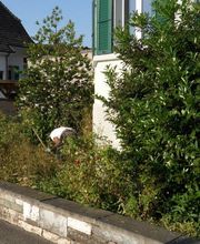 Schneider Garten Bild 3