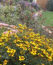 naturplan Landschaftsplanung Dipl.-Ing. S. Müllensiefen Bild 4