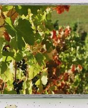 Domaine Saint André image 1