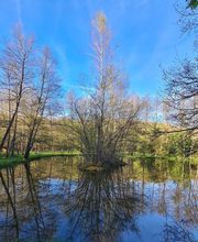 L'Art Du Bien Etre image 2