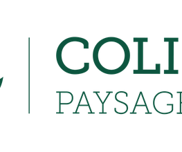 COLIBRI PAYSAGE image 4