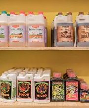 Black Duck Bazaar immagine 17