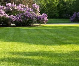 Mahrer Gartenbau GmbH Bild 4