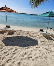 World Travel Service image 20