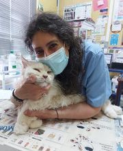 Clínica Veterinaria Huellas imagen 10