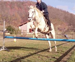 Equiloisirs image 4