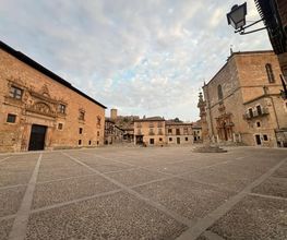 VINOS_ETERNO_BRAMANTE_13.jpeg