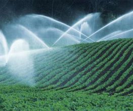 agrinsal-riego-cultivo-04.jpg