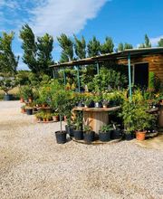 Les Jardins de la Méditerranée image 12