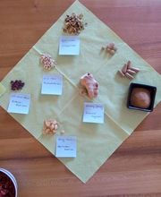 PHÖNIX TCM | Philipp Näf Bild 10