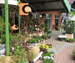 Michael Möbius Gartenbau & Floristik Bild 3