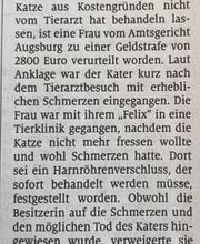 Tierarztpraxis Ullmann Bild 1