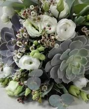 Fleur D'O image 10