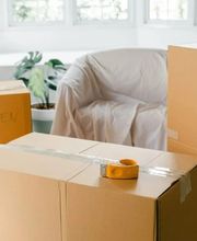 All Moves Are Us image 11