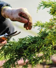 KsS KniesServices Bild 5