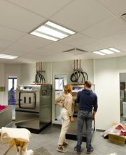 Faramus SARL image 16