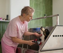 Lina, Hundert Prozent wau, Gesundheit, Training und Unterstützung für Hunde und ihre Menschen, Sandra Egli Bild 3