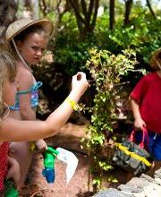 Barceló Lanzarote Royal Level imagen 7