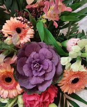 France Rurale image 4