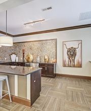 Reveal on Cumberland Apartments image 1