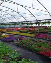 Les Jardins de Delphine image 4