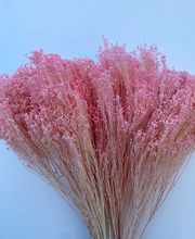 NATURA - FIORI SECCHI PAPA immagine 10