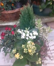 Fleurs Village image 18