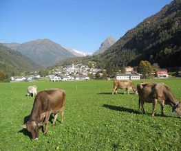 Caseificio del sole e Azienda Agricola Rigozzi Bild 5