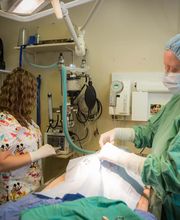 Skinner Animal Clinic image 8