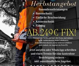 Badischer-Servicedienst Bild 2