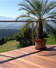 Zürcherholz GmbH Bild 4