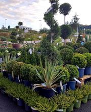 Jardinerie Delbard Le Puy en Velay image 20