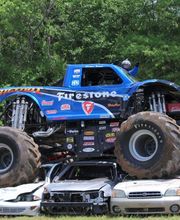 University Tire and Auto Centers - Orange image 1