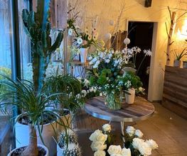 Blumen Müller Bild 7