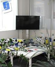 Pausenraum mit bunten Couches, einem Tisch und Pflanzen