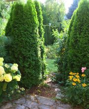 Verde Gartenbau Meisterbetrieb Bild 4