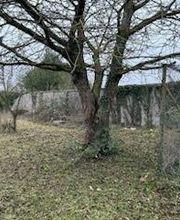 Roye Garden image 11