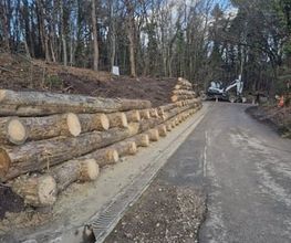 Passion Forêt SA Bild 14