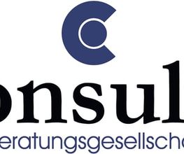 Steuerberatungsgesellschaft mit Consulta - Bild 1