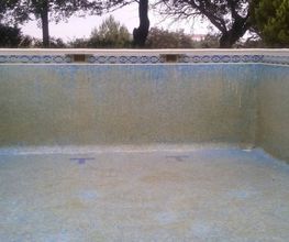 Linocor imagen 8
