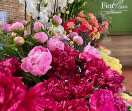 Fior Fleurs image 4