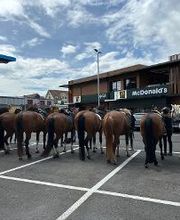 Reitstall Bühl Bild 16