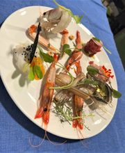 Gallery Professionale