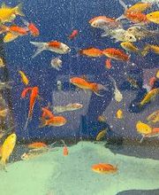 Bricomarché Chauny image 14