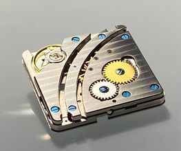 LANDERON SWISS MOVEMENTS GmbH Bild 5