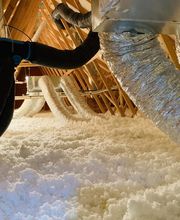 Eco Systeme image 15