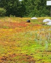 Walter Mess- und Ortungstechnik Bild 4