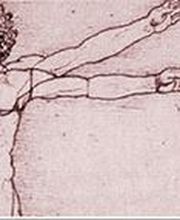 Physiotherapie Franziska Peter Bild 1