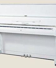 Alexander Ostrovski Bild 2